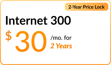 Mediacom Internet 300. $30 per mo. for 2 years. 
